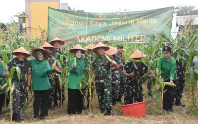 Gubernur Akmil Apresiasi Panen Raya Jagung di Panca Arga I